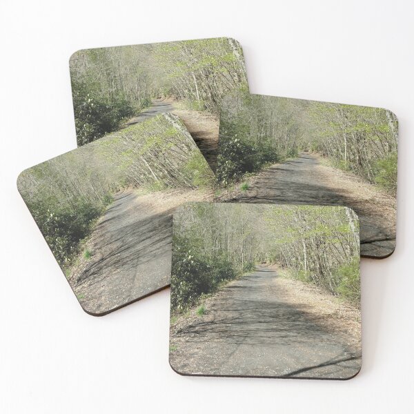 Item preview, Pathway on Virginia Creeper Trail designed and sold by dfhandy.