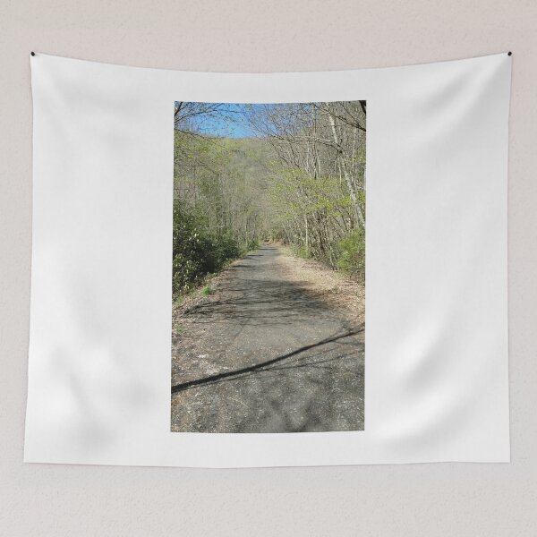Item preview, Pathway on Virginia Creeper Trail designed and sold by dfhandy.