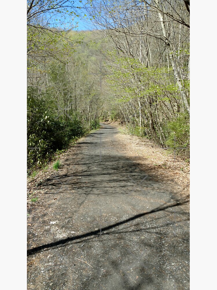 "Pathway on Virginia Creeper Trail" Sticker for Sale by dfhandy Redbubble