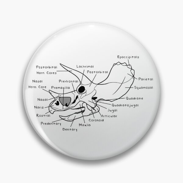 Item preview, Triceratops Skull (Labeled) designed and sold by peltigaan.