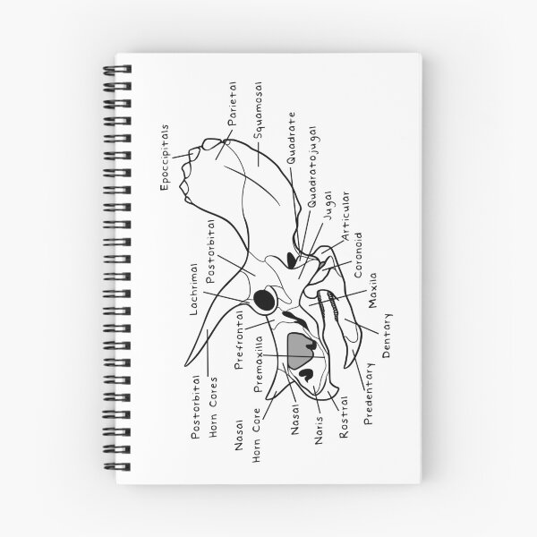 Item preview, Triceratops Skull (Labeled) designed and sold by peltigaan.