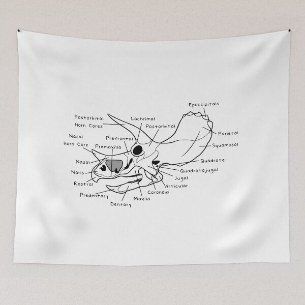 Item preview, Triceratops Skull (Labeled) designed and sold by peltigaan.
