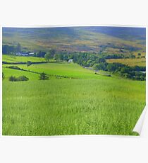 Donegal In The Summertime Poster