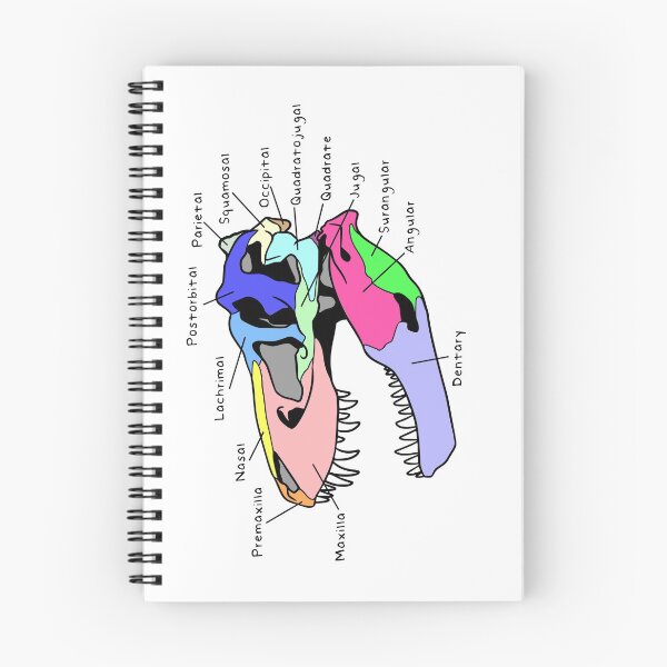 Item preview, Tyrannosaurus Skull (Colored & Labeled) designed and sold by peltigaan.