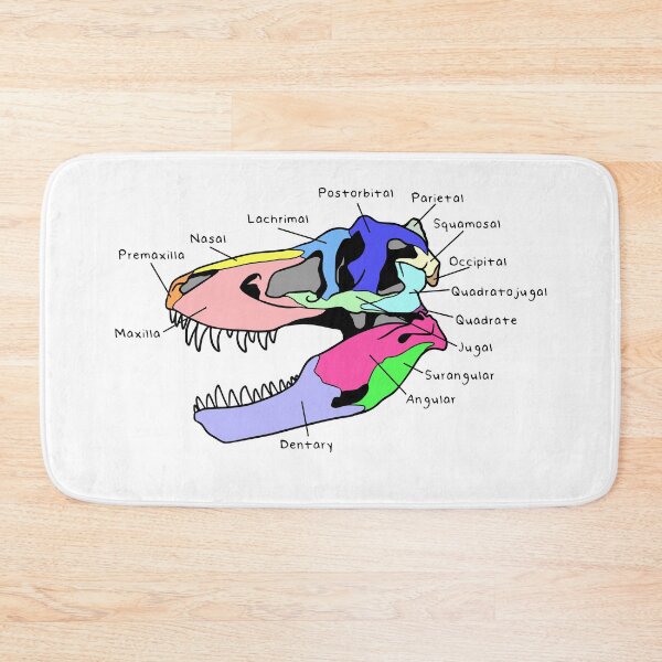 Item preview, Tyrannosaurus Skull (Colored & Labeled) designed and sold by peltigaan.