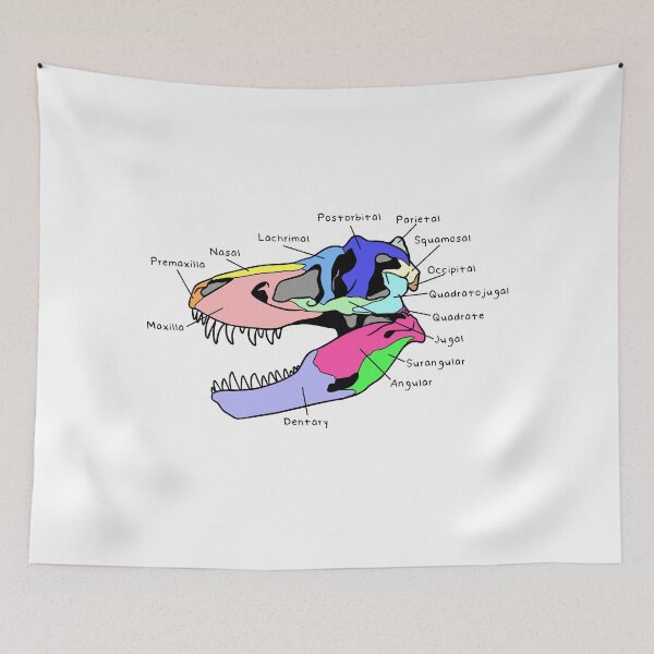 Item preview, Tyrannosaurus Skull (Colored & Labeled) designed and sold by peltigaan.