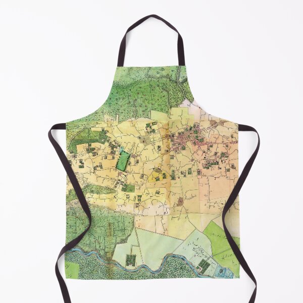 Item preview, Map of Rasht in Iran (1871) designed and sold by ganje.