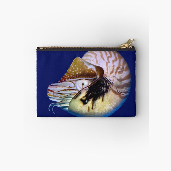 Item preview, Chambered Nautilus, (Nautilus pompilius) in the blue designed and sold by Wernher Krutein.