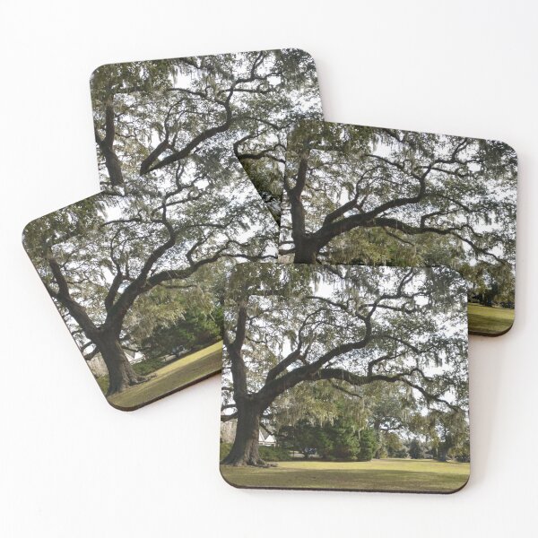 Item preview, Moss Tree in South Carolina designed and sold by dfhandy.