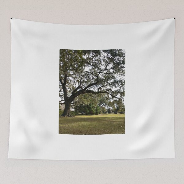Item preview, Moss Tree in South Carolina designed and sold by dfhandy.