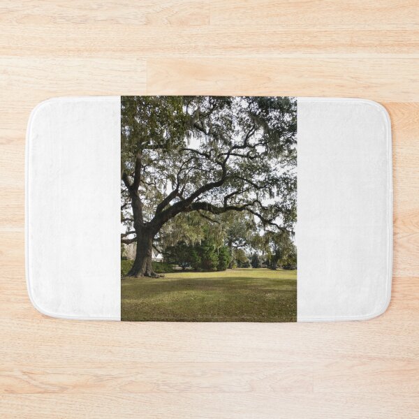Item preview, Moss Tree in South Carolina designed and sold by dfhandy.