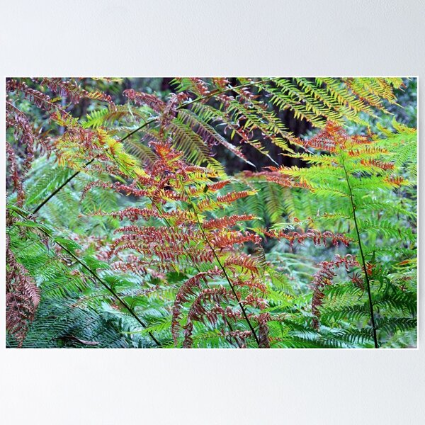Item preview, Diaphanous designed and sold by Harry Oldmeadow.