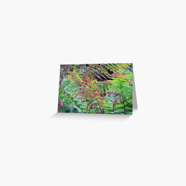 Item preview, Diaphanous designed and sold by Harry Oldmeadow.