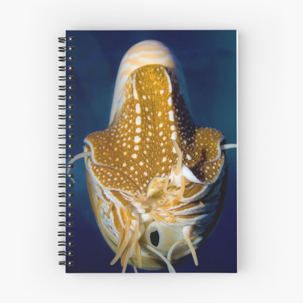 Item preview, Nautilus floating in the underwater ocean designed and sold by Wernher Krutein.