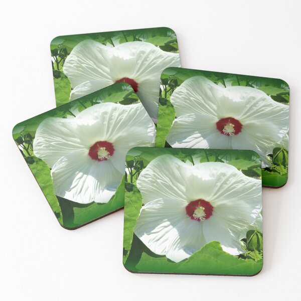 Item preview, White 'Dinner Plate' hibiscus designed and sold by LeRoyM.