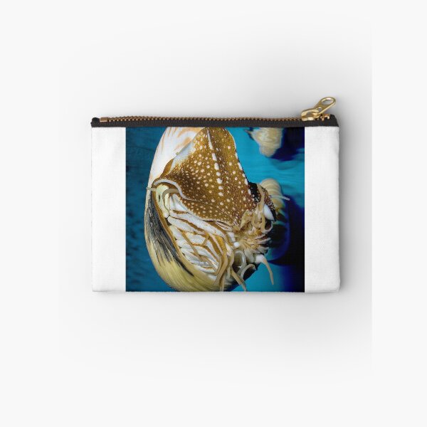 Item preview, Chambered Nautilus designed and sold by Wernher Krutein.