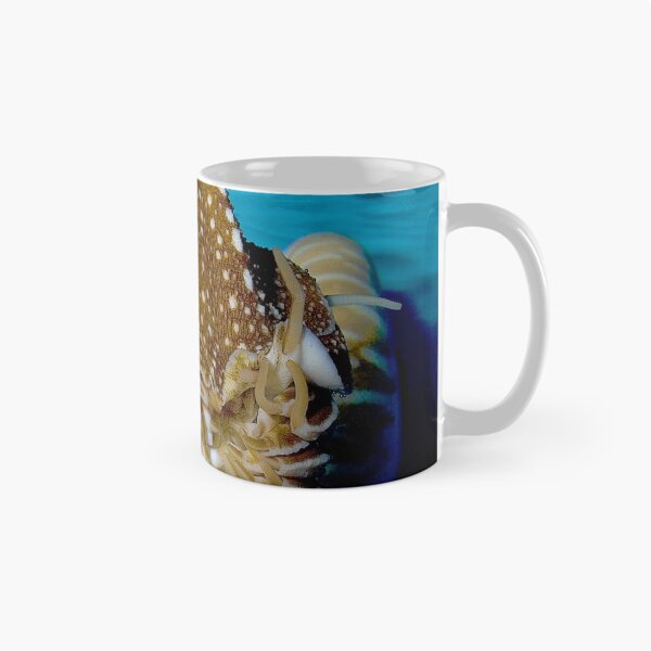 Item preview, Chambered Nautilus designed and sold by Wernher Krutein.