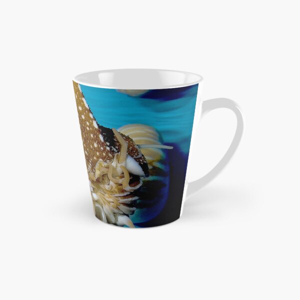 Item preview, Chambered Nautilus designed and sold by Wernher Krutein.