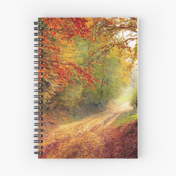 Item preview, Road Forest Fall designed and sold by Abu3mad 98.