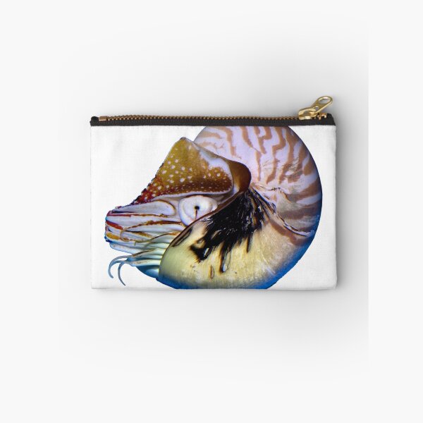 Item preview, Nautilus designed and sold by Wernher Krutein.