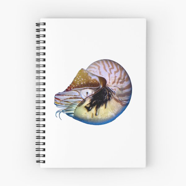 Item preview, Nautilus designed and sold by Wernher Krutein.