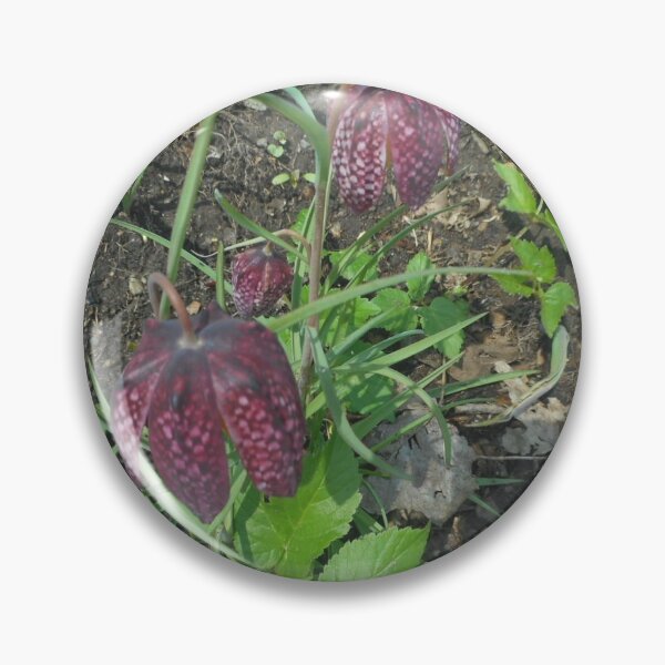 Item preview, Fritillaria meleagris designed and sold by SamiC06.