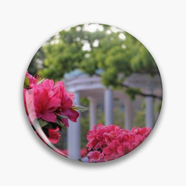 Artikelvorschau, Alter Brunnen im Frühling | UNC Chapel Hill entworfen und verkauft von emilypadula.