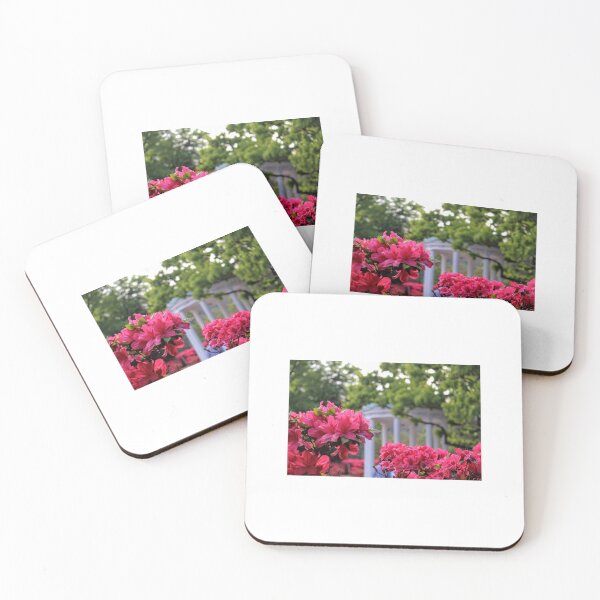 Item preview, Old Well in Spring | UNC Chapel Hill designed and sold by emilypadula.