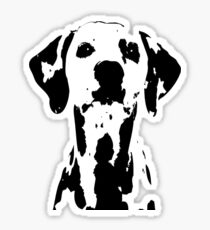 Dalmation Sticker