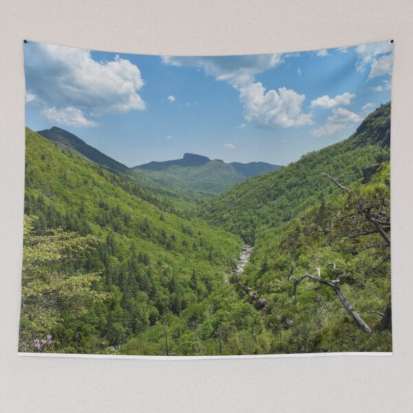Item preview, Appalachian Mountain Valley View Tapestry designed and sold by mbarimo7.