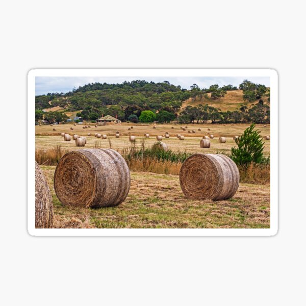 Made Hay While the Sun Shined - Now Baled Up Sticker