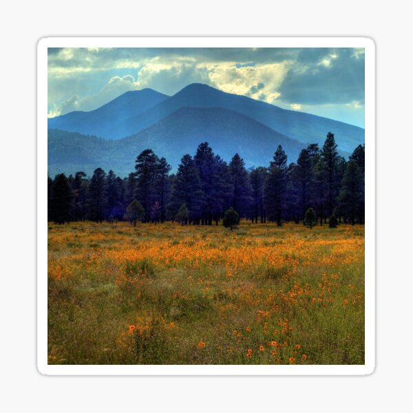 Item preview, Yellow Field Of Flowers designed and sold by K D Graves Photography.