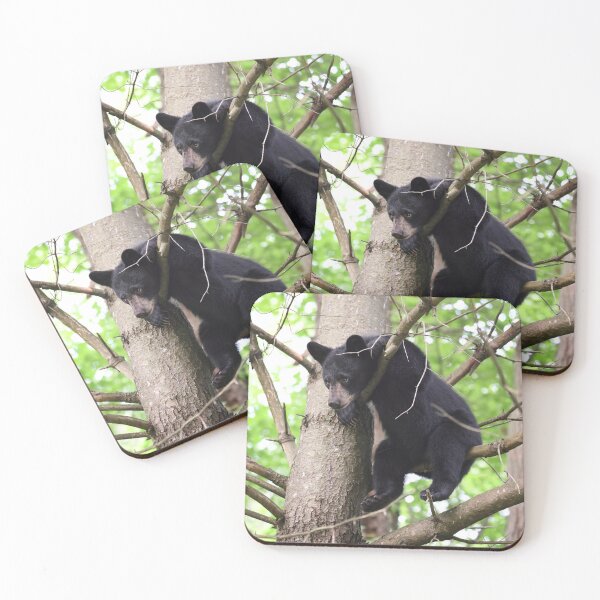 Item preview, Hang In There designed and sold by mlorenz.