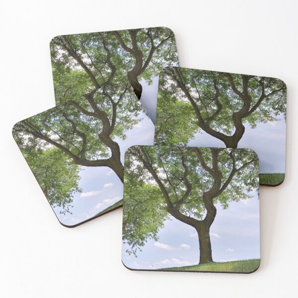 Item preview, Terra Cont'd designed and sold by Leajato Robinson.