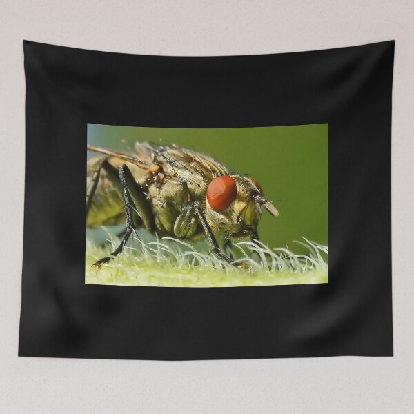 Item preview, Flies Face 2 designed and sold by relayer51.