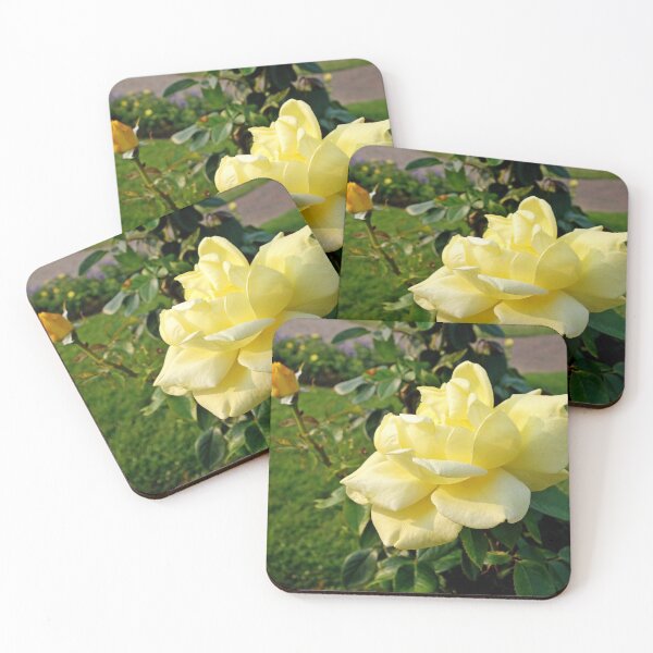 Item preview, Duluth Rose Gardens Rose Study 7 designed and sold by Robert Meyers-Lussier.