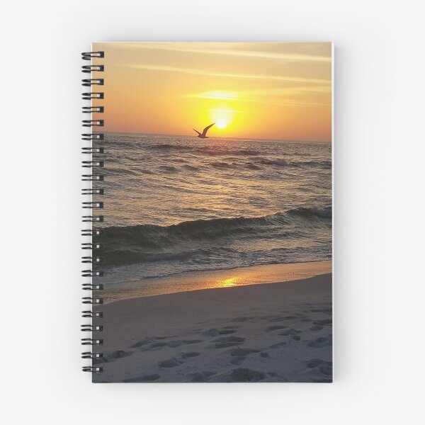 Item preview, Atardecer de gaviota designed and sold by Dikolas.