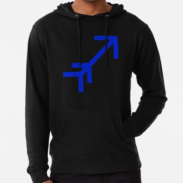 Unnoficial Fan Sagigo Lightweight Hoodie