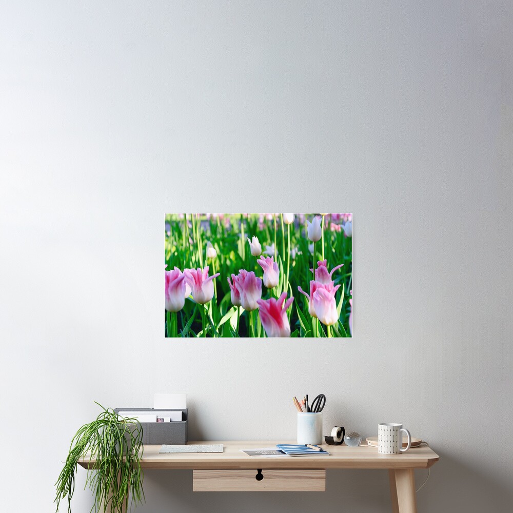 Item preview, Poster designed and sold by Mallorn.