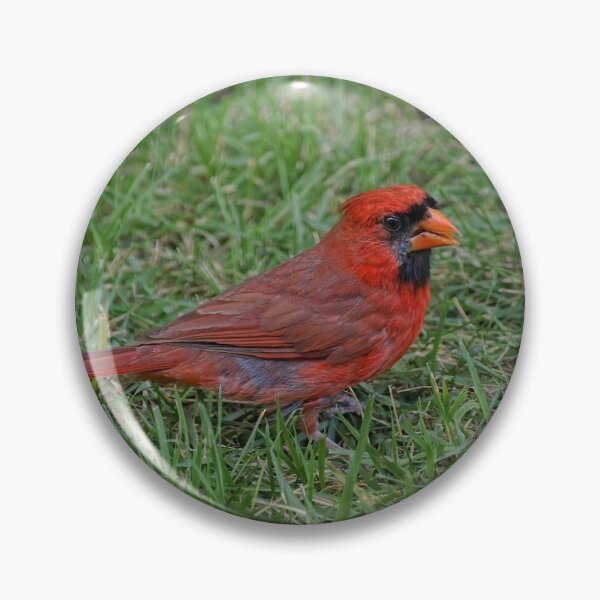 Item preview, Pretty Bird designed and sold by Lanis Rossi.