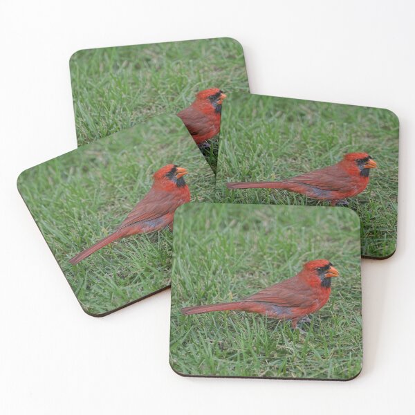 Item preview, Pretty Bird designed and sold by Lanis Rossi.