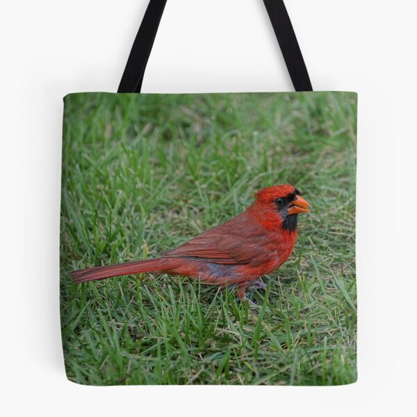Item preview, Pretty Bird designed and sold by Lanis Rossi.