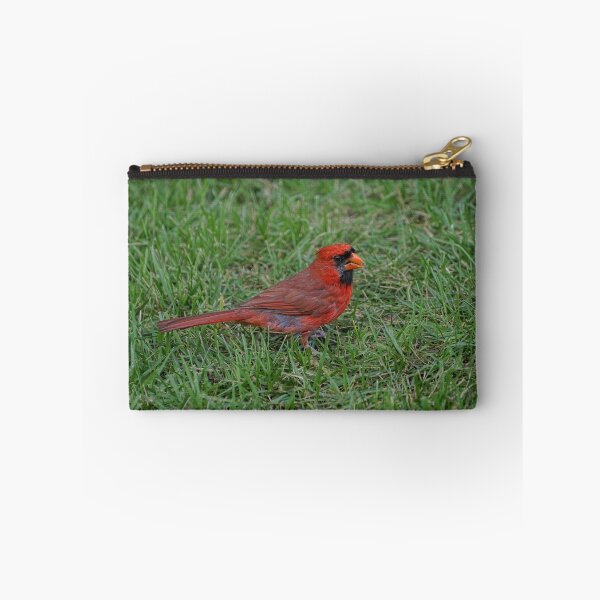 Item preview, Pretty Bird designed and sold by Lanis Rossi.