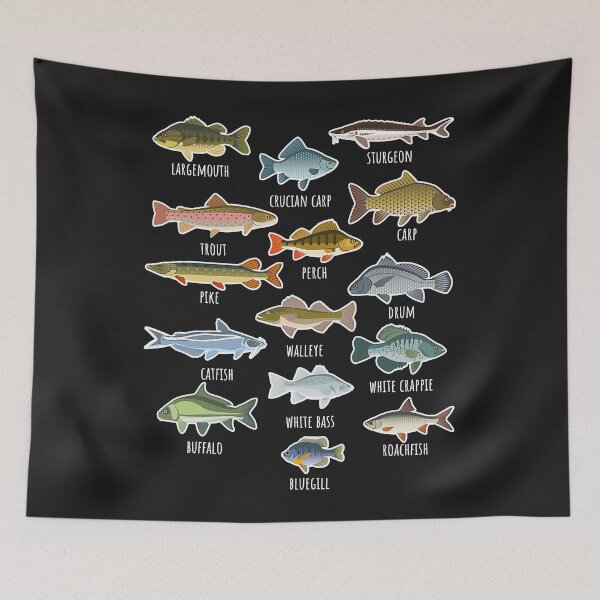 Item preview, Types Of Freshwater Fish Species Fishing  designed and sold by JamesRushforth.