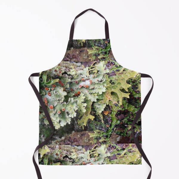 Item preview, Lichen Spores, Cradle Mountain, Tasmania, Australia. designed and sold by kaysharp.