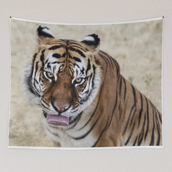 Item preview, Tongue Out Tiger designed and sold by Apparel-City.