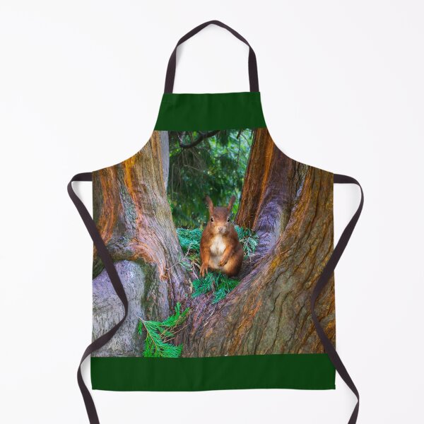 Item preview, Red Squirrel in Conifer Tree designed and sold by Alisonchambers2.