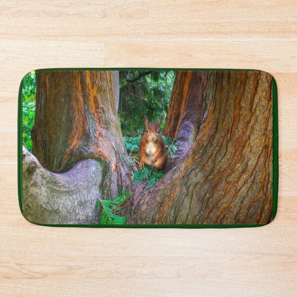 Item preview, Red Squirrel in Conifer Tree designed and sold by Alisonchambers2.