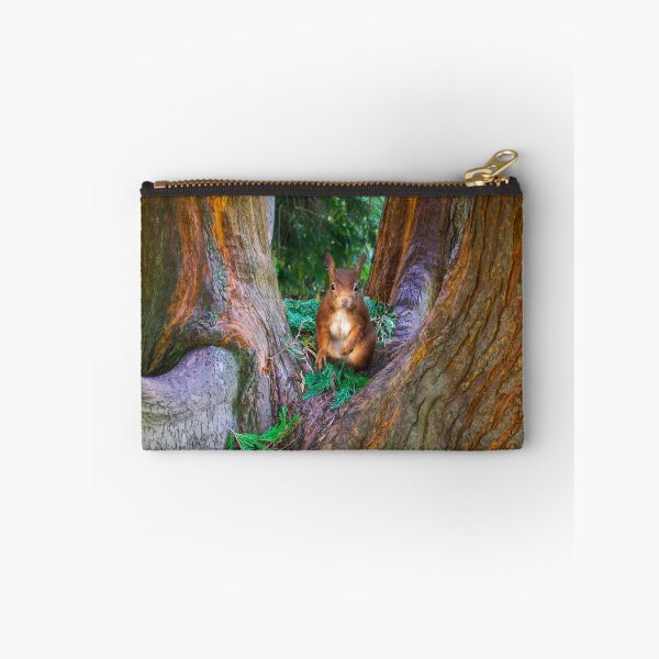 Item preview, Red Squirrel in Conifer Tree designed and sold by Alisonchambers2.