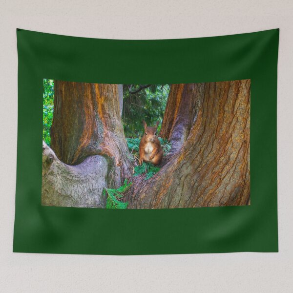 Item preview, Red Squirrel in Conifer Tree designed and sold by Alisonchambers2.